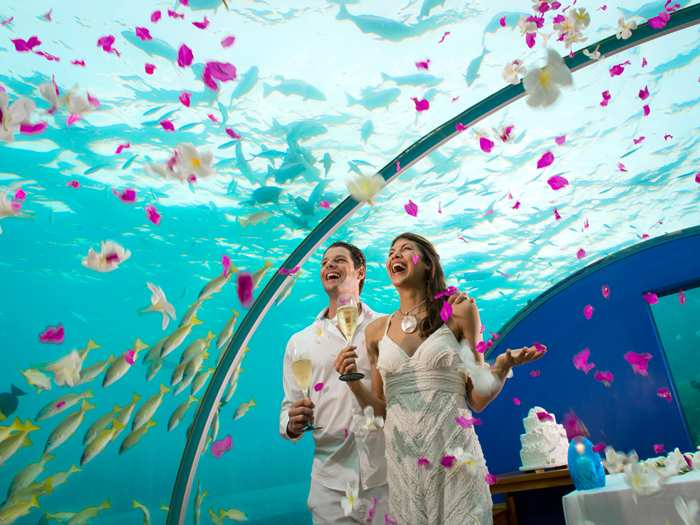 Maldives Wedding Underwater