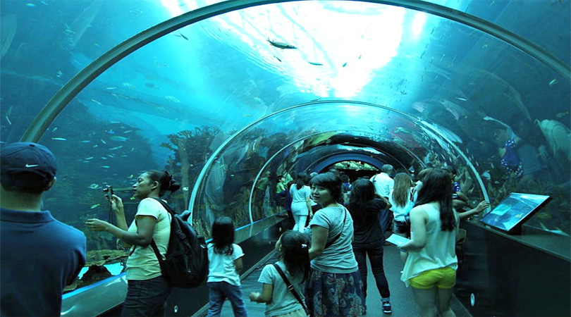 singapore underwater world