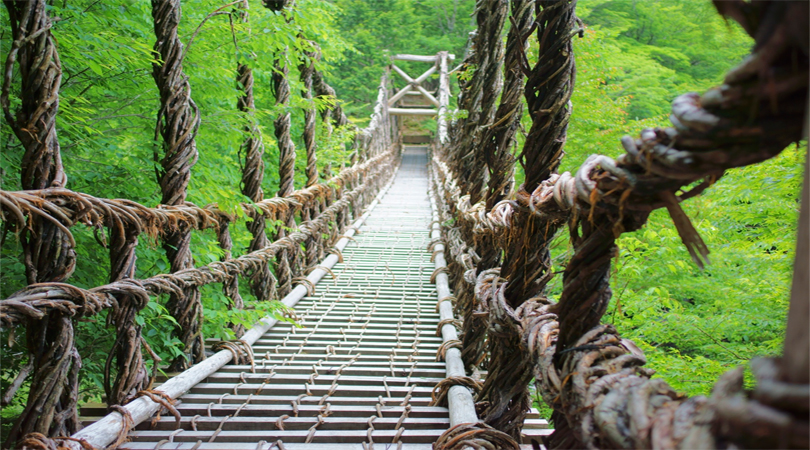 Iya Valley Vine Bridges, Japan