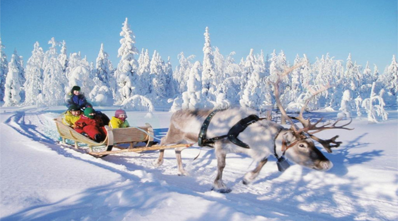 lapland reindeer ride