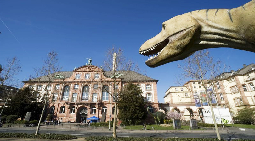 Best Museums of Frankfurt – Welcome to Traveling To World: The Smooth ...